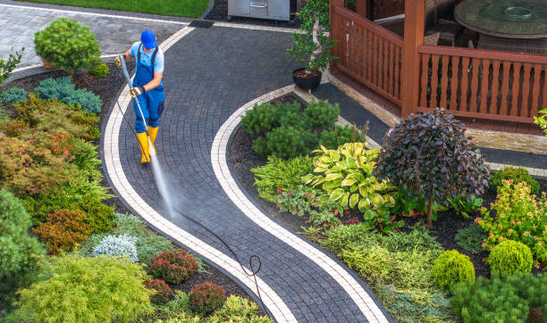 Best Pressure Washing Company Near Me  in Canyonville, OR